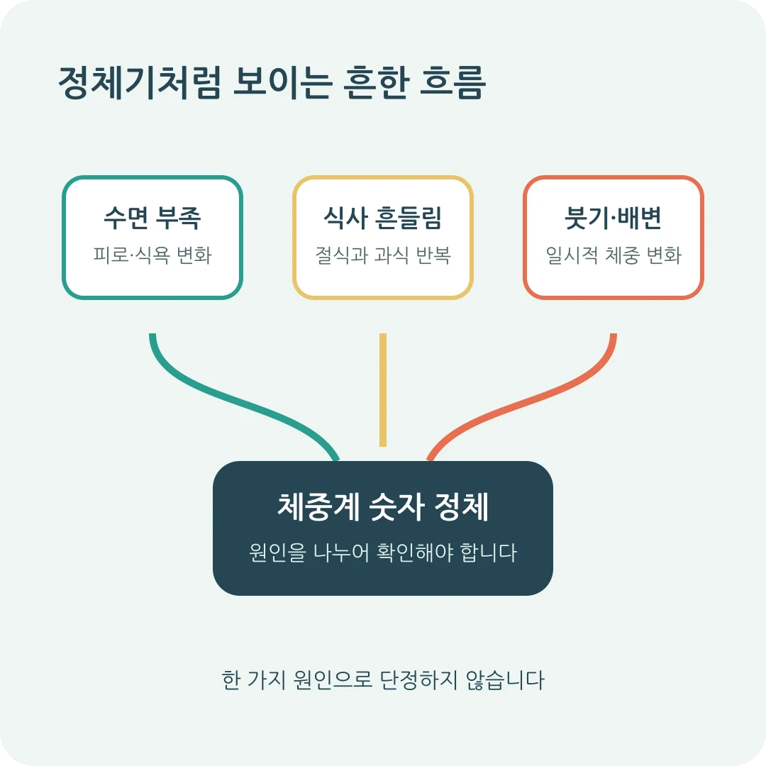 체중 정체기에 수면 식사 붓기 배변 흐름을 확인하는 카드뉴스