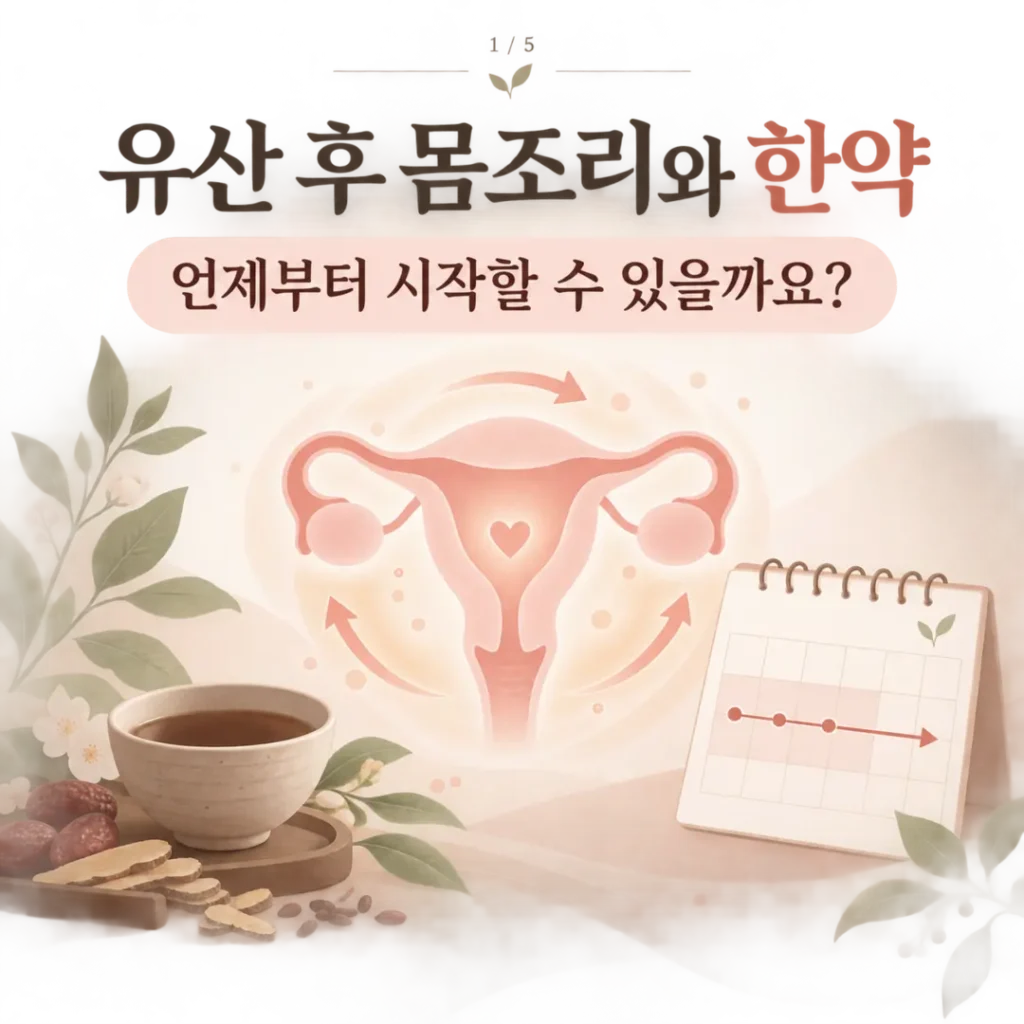 유산 후 몸조리와 한약 시작 시기를 설명하는 자궁과 회복 일정 그림