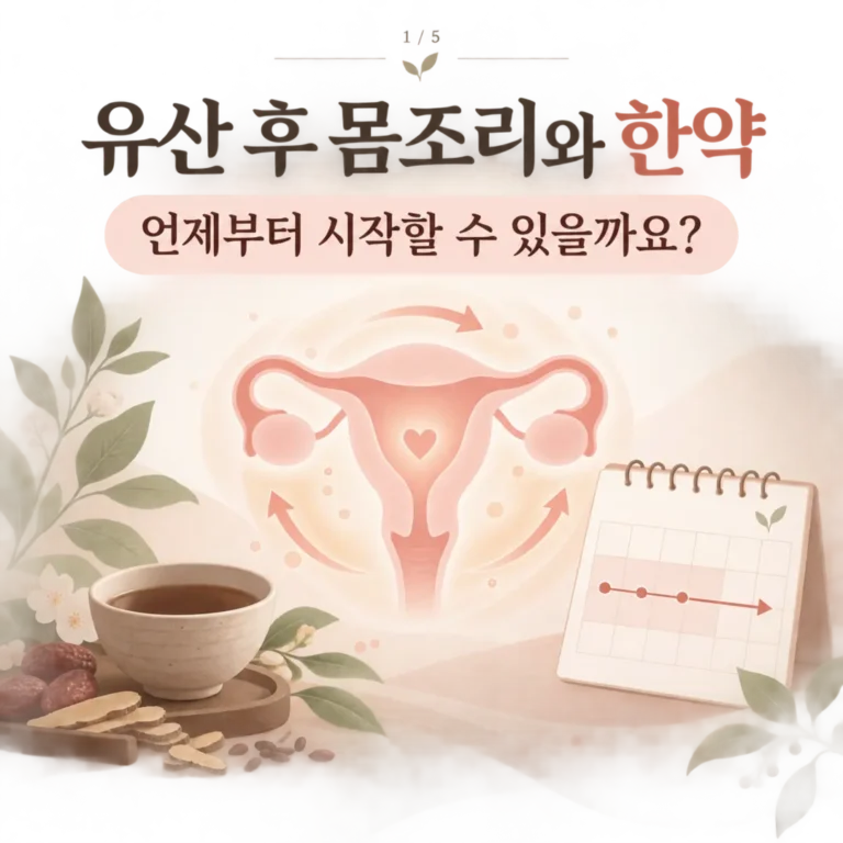 유산 후 몸조리와 한약 시작 시기를 설명하는 자궁과 회복 일정 그림