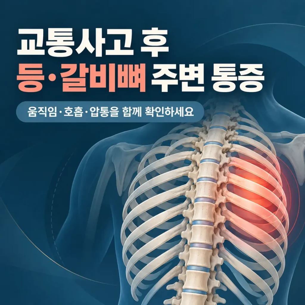 교통사고 후 등·갈비뼈 주변이 아픈 이유와 한방관리 방법은?