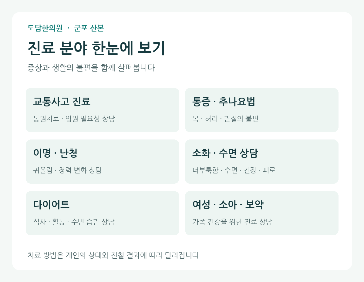 도담한의원 주요 진료 분야